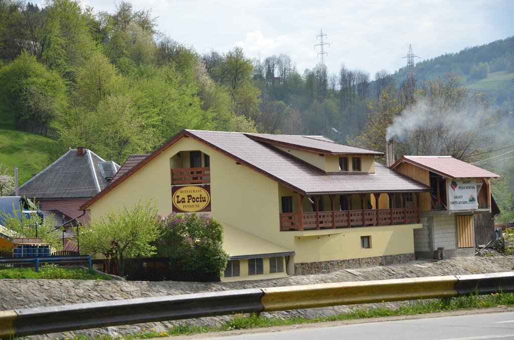 Lapociu Bed & Breakfast Câmpeni Exterior foto